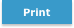 Print map button